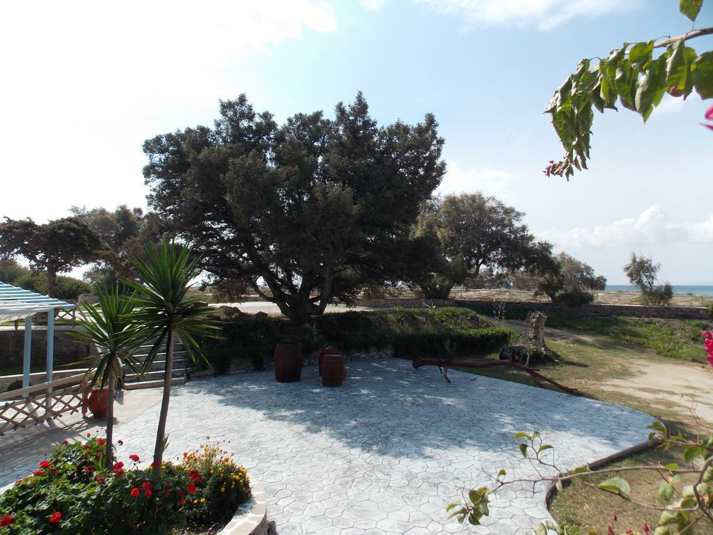 Aparthotel Stella Naxos Island Agia Anna  Esterno foto