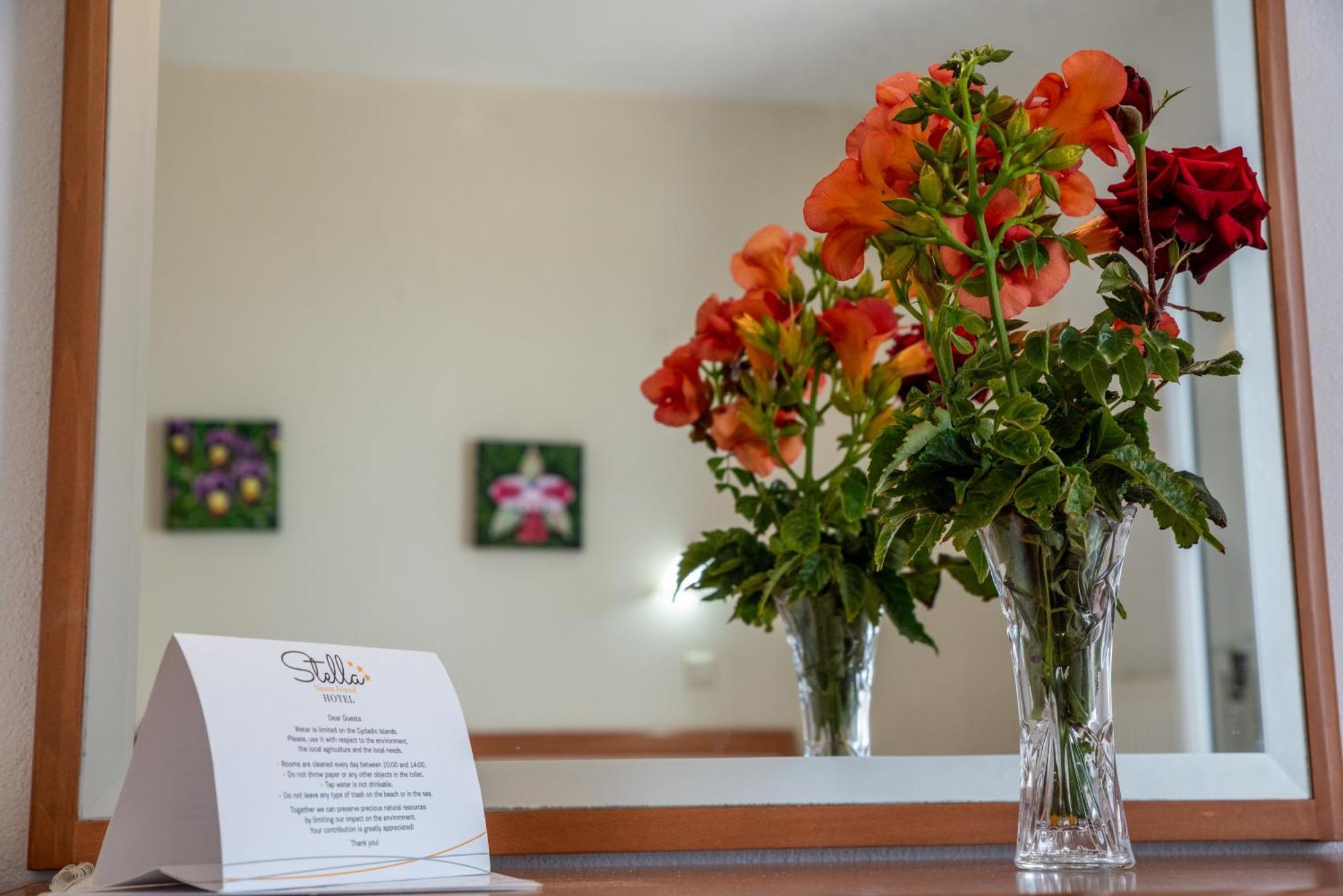Aparthotel Stella Naxos Island Agia Anna  Esterno foto