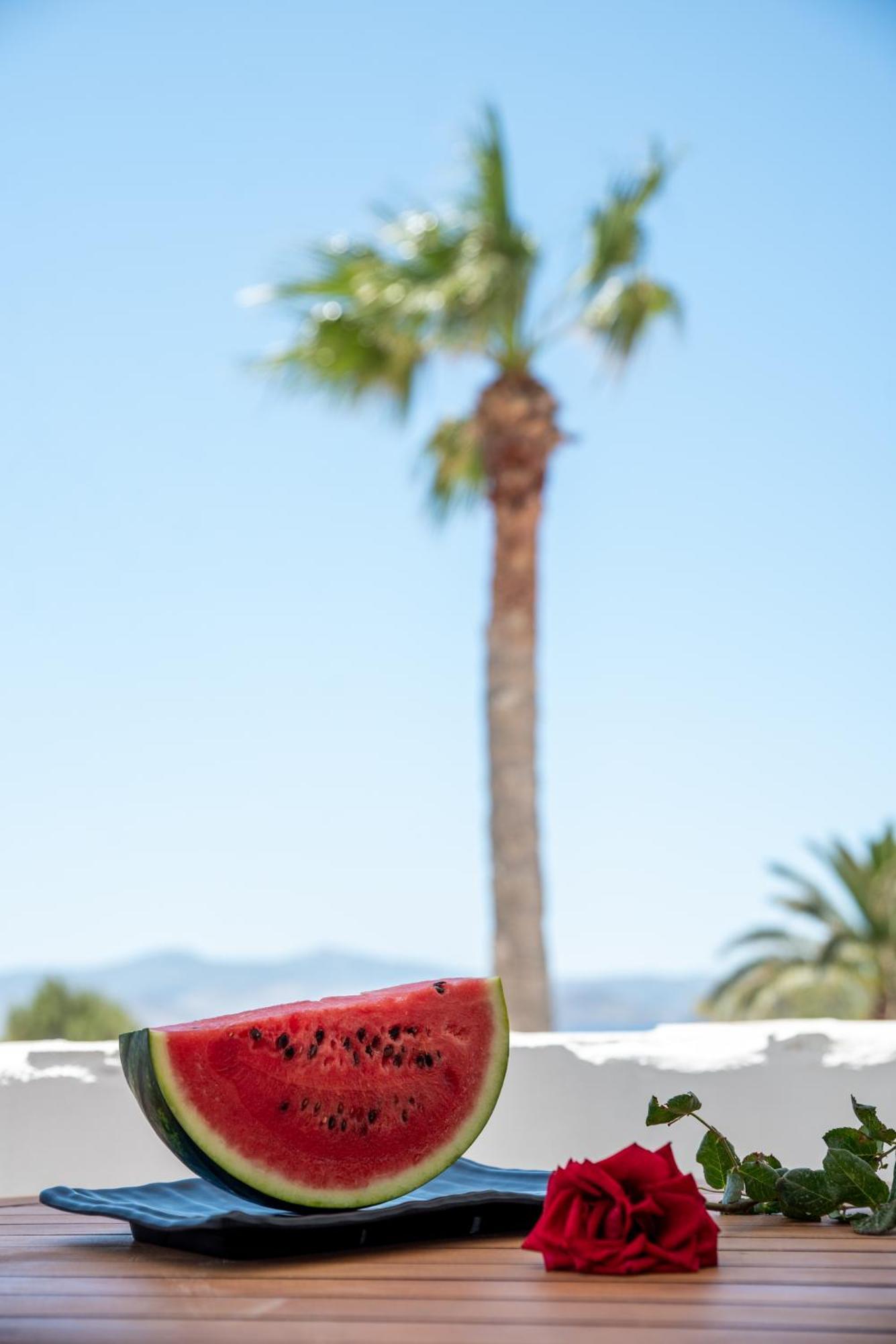 Aparthotel Stella Naxos Island Agia Anna  Esterno foto